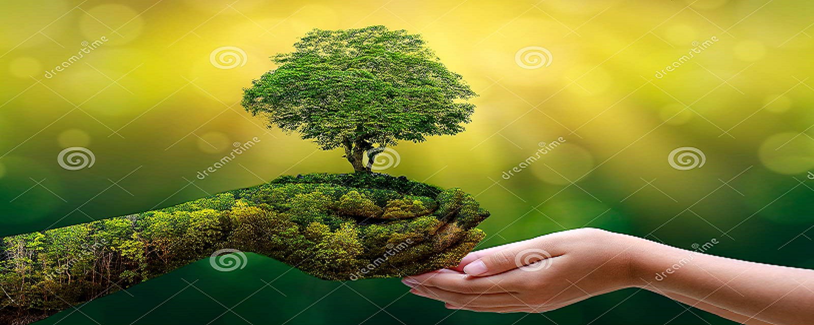 <span>Nagesh Welfare Association </span>